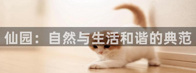 fh至尊凤凰官方旗舰店