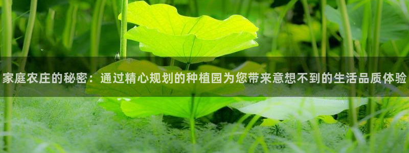 fh至尊平台安全密码忘记了