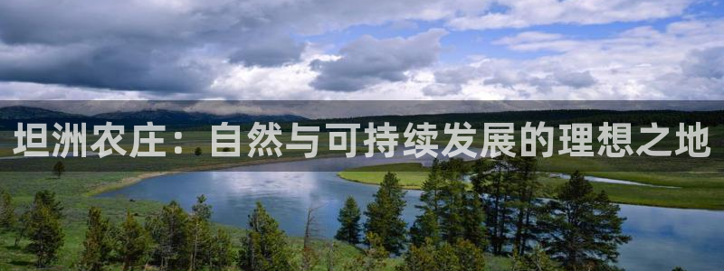 fh至尊凤凰是黑网