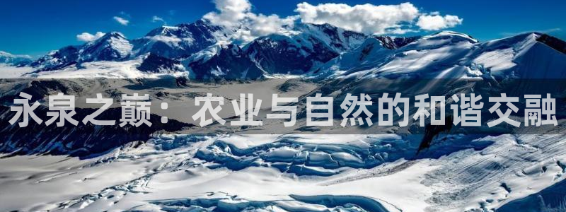 fh至尊平台安全密码忘记了