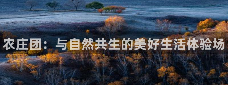 fh至尊游戏代理