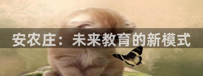 fh至尊为什么不更新了